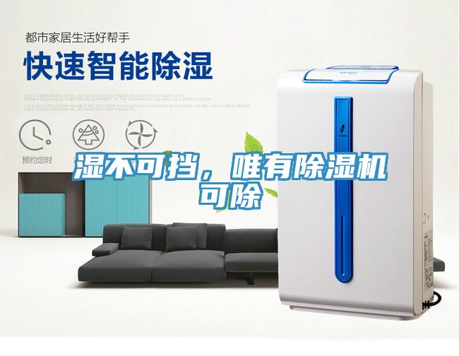 濕不可擋，唯有除濕機可除