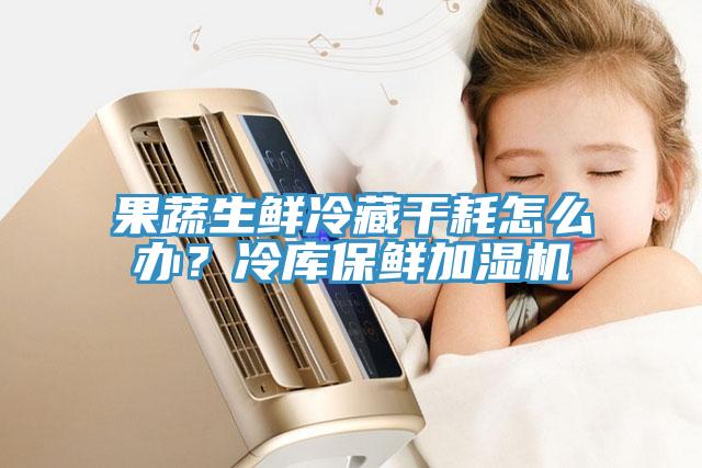 果蔬生鮮冷藏干耗怎么辦？冷庫保鮮加濕機