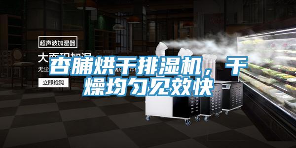 杏脯烘干排濕機,干燥均勻見效快
