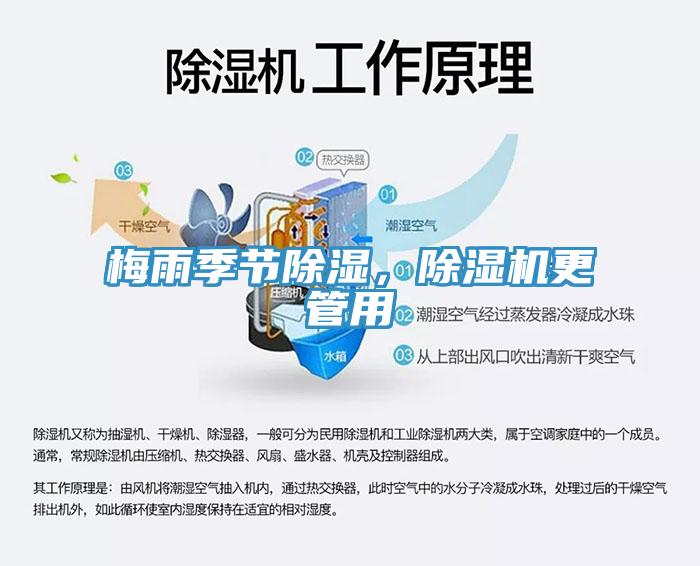 梅雨季節除濕，除濕機更管用