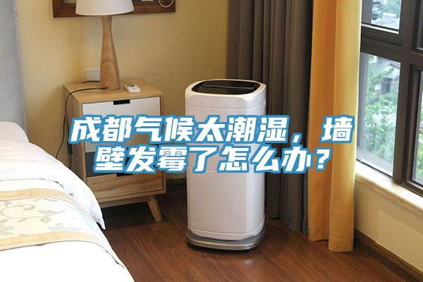 成都氣候太潮濕,墻壁發霉了怎么辦?