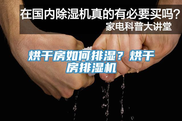 烘干房如何排濕？烘干房排濕機