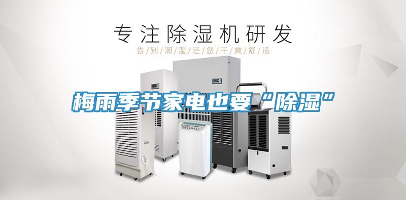梅雨季節家電也要“除濕”