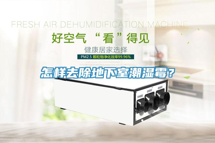 怎樣去除地下室潮濕霉?