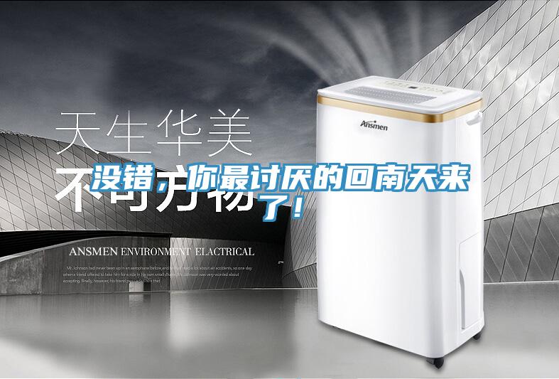 沒錯(cuò)，你最討厭的回南天來了！