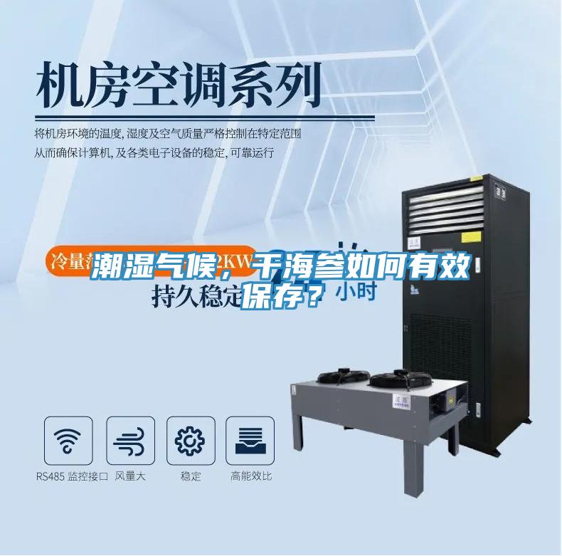 潮濕氣候，干海參如何有效保存？