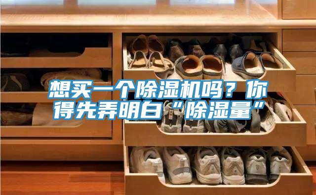 想買一個除濕機(jī)嗎？你得先弄明白“除濕量”