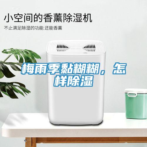 梅雨季黏糊糊,怎樣除濕