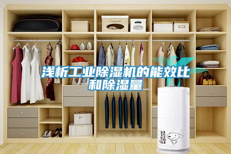 淺析工業(yè)除濕機(jī)的能效比和除濕量