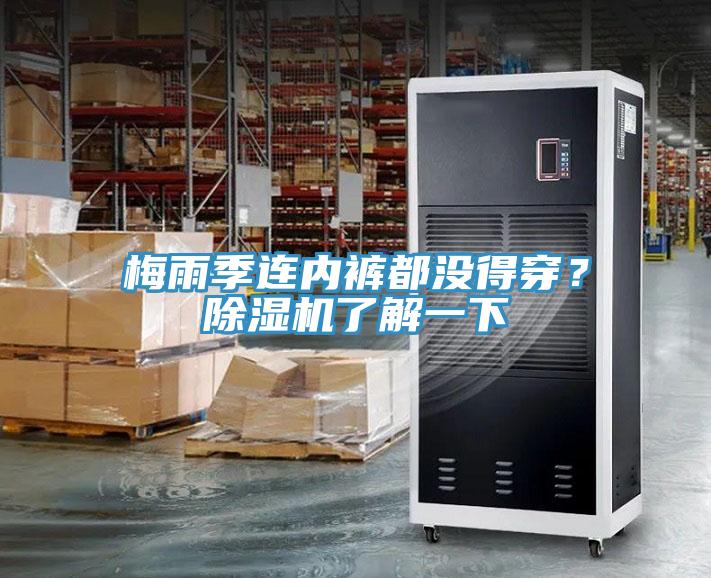 梅雨季連內(nèi)褲都沒得穿？除濕機(jī)了解一下