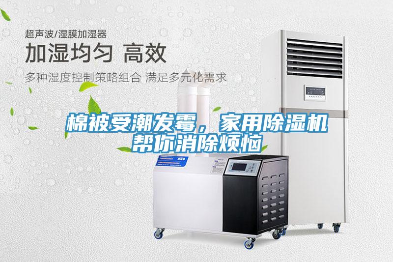 棉被受潮發霉，家用除濕機幫你消除煩惱