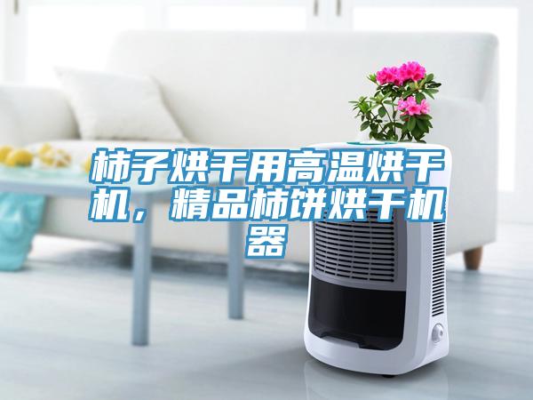 柿子烘干用高溫烘干機(jī)，精品柿餅烘干機(jī)器