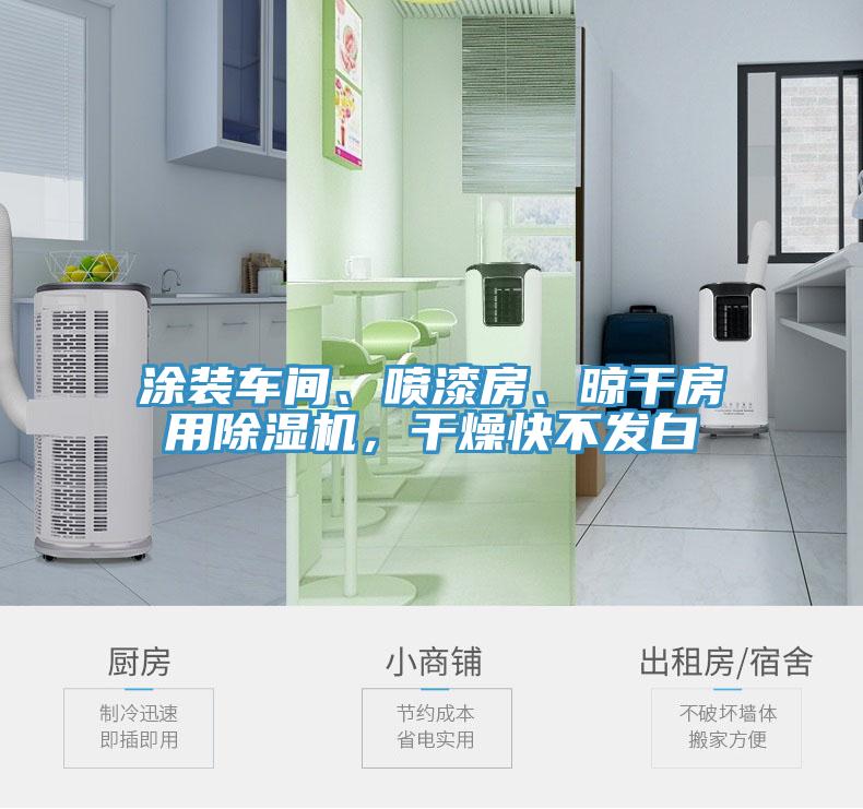 涂裝車間、噴漆房、晾干房用除濕機(jī)，干燥快不發(fā)白