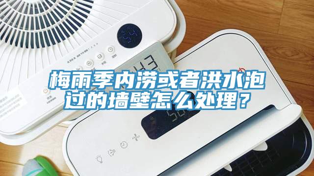 梅雨季內澇或者洪水泡過的墻壁怎么處理？