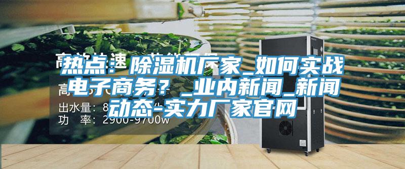 熱點：除濕機廠家_如何實戰電子商務？_業內新聞_新聞動態-實力廠家官網