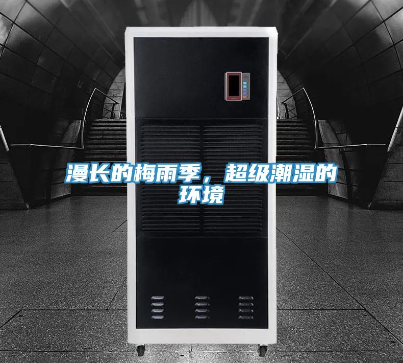 漫長的梅雨季，超級潮濕的環境