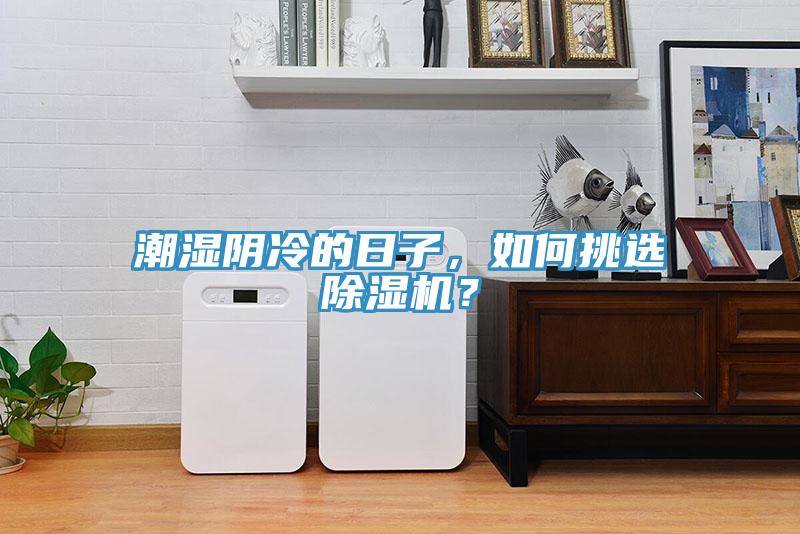 潮濕陰冷的日子，如何挑選除濕機(jī)？