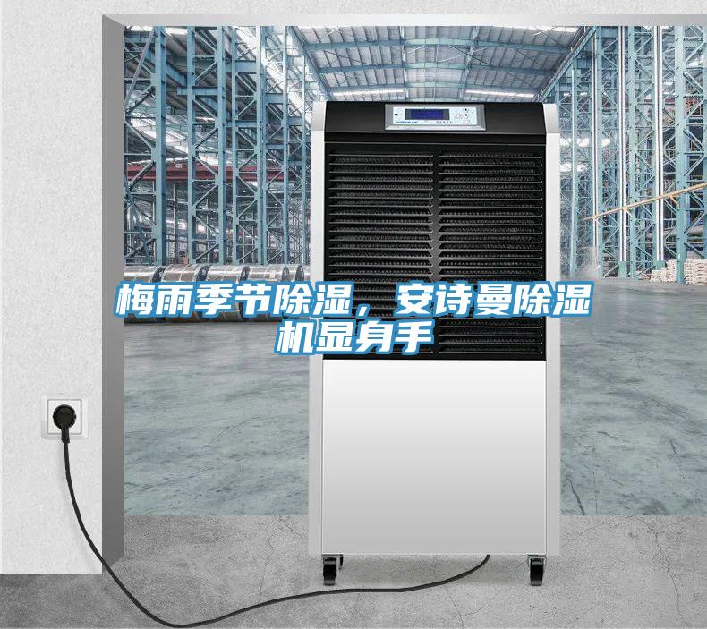 梅雨季節除濕，安詩曼除濕機顯身手