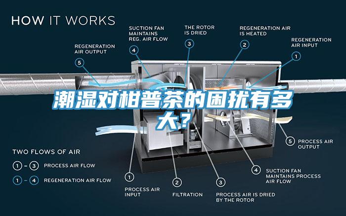 潮濕對柑普茶的困擾有多大？