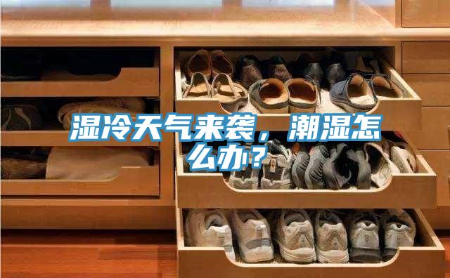 濕冷天氣來襲，潮濕怎么辦？