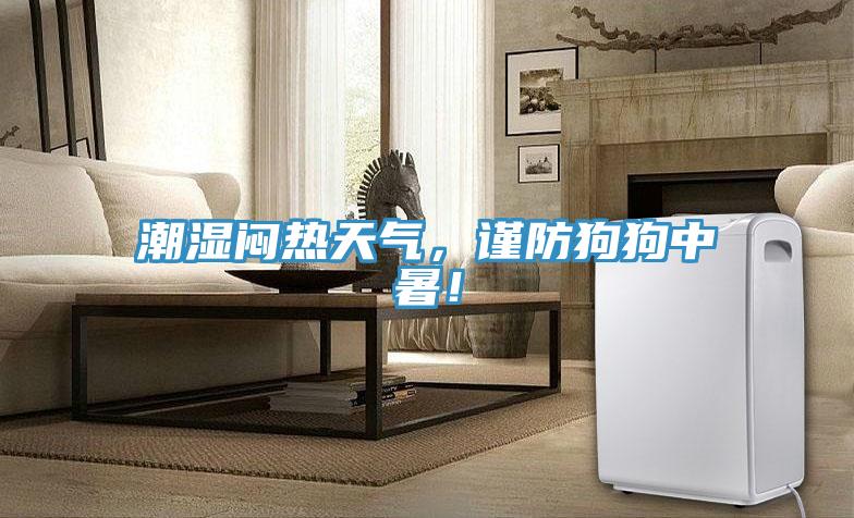 潮濕悶熱天氣，謹防狗狗中暑！