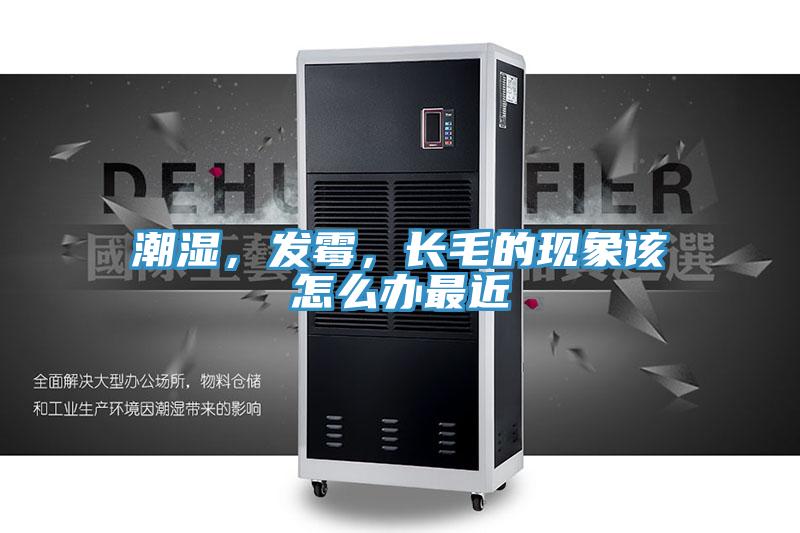潮濕，發(fā)霉，長毛的現(xiàn)象該怎么辦最近