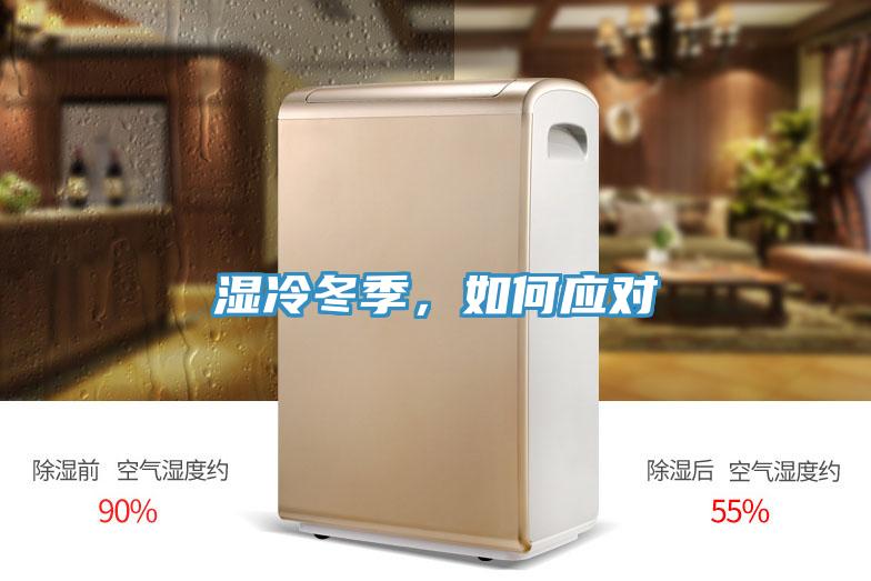 濕冷冬季，如何應對