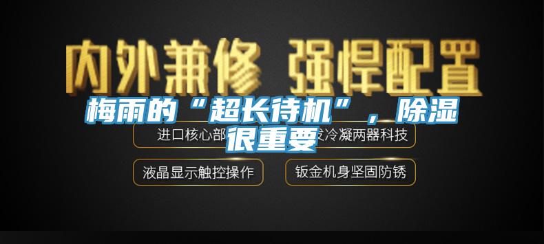梅雨的“超長待機”，除濕很重要