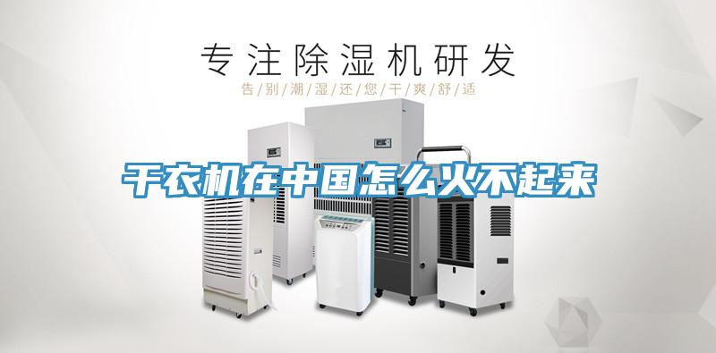 干衣機在中國怎么火不起來