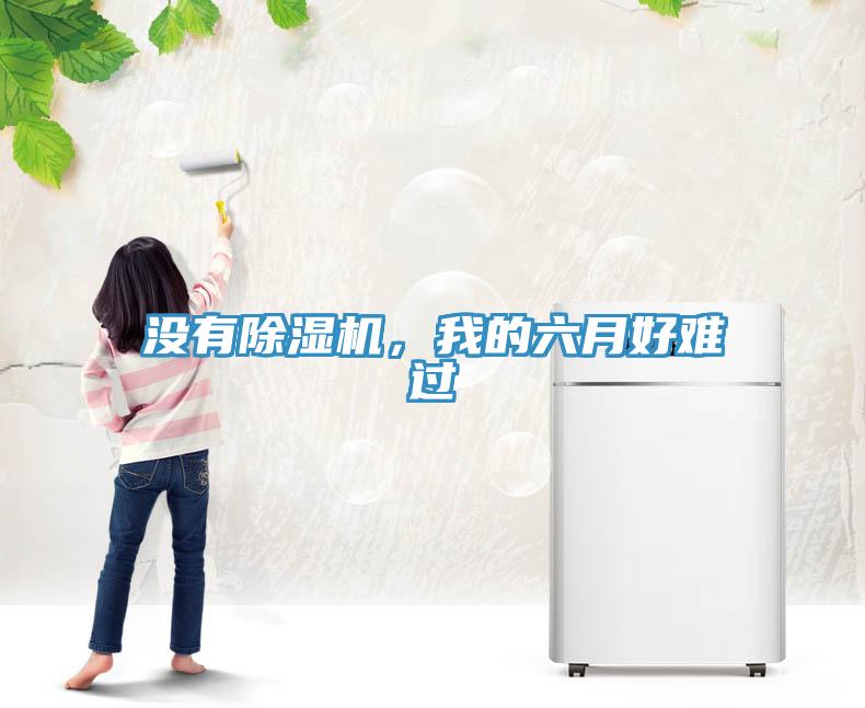 沒有除濕機，我的六月好難過