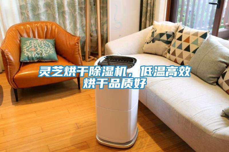 靈芝烘干除濕機，低溫高效烘干品質好