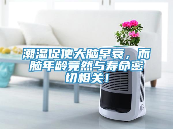 潮濕促使大腦早衰，而腦年齡竟然與壽命密切相關(guān)！
