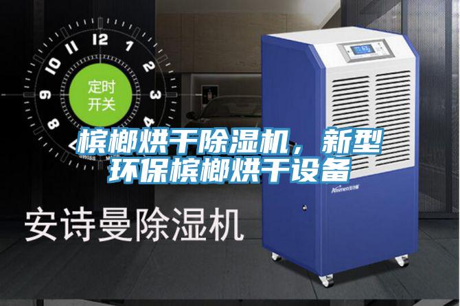 檳榔烘干除濕機，新型環保檳榔烘干設備