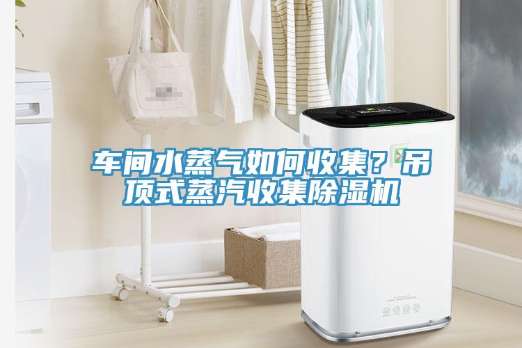 車間水蒸氣如何收集？吊頂式蒸汽收集除濕機(jī)
