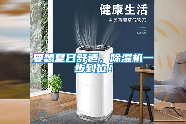 要想夏日舒適，除濕機一步到位！