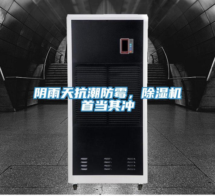 陰雨天抗潮防霉，除濕機首當(dāng)其沖