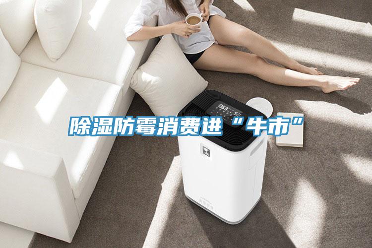 除濕防霉消費進“牛市”
