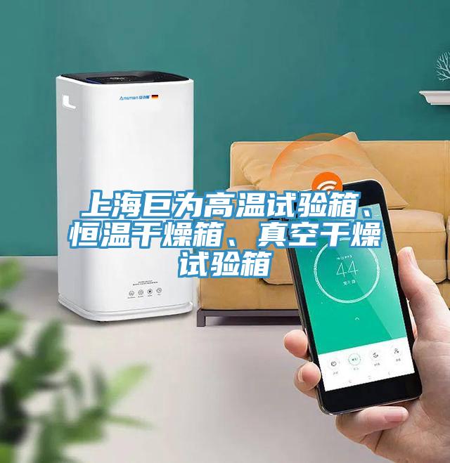 上海巨為高溫試驗箱、恒溫干燥箱、真空干燥試驗箱