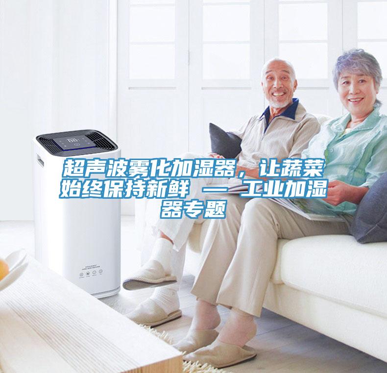 超聲波霧化加濕器，讓蔬菜始終保持新鮮 — 工業加濕器專題