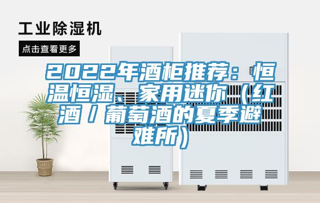 2022年酒柜推薦：恒溫恒濕、家用迷你（紅酒／葡萄酒的夏季避難所）