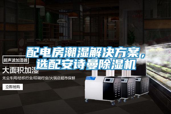 配電房潮濕解決方案，選配安詩曼除濕機