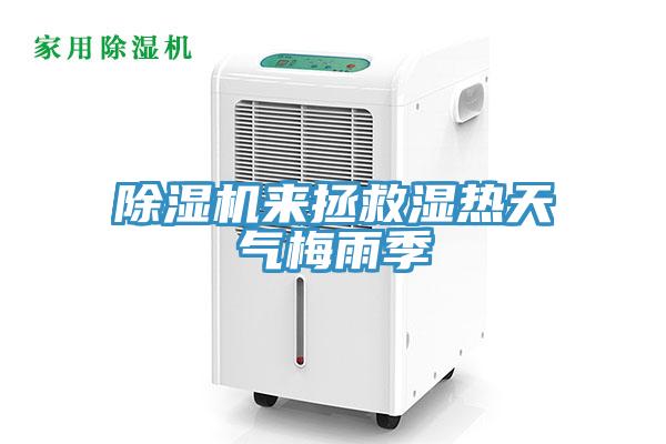 除濕機來拯救濕熱天氣梅雨季