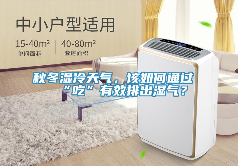 秋冬濕冷天氣，該如何通過“吃”有效排出濕氣？