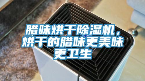 臘味烘干除濕機，烘干的臘味更美味更衛生