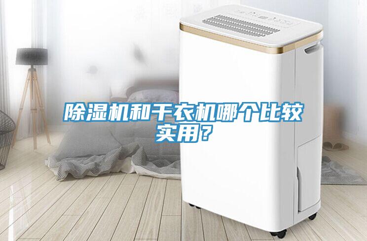 除濕機和干衣機哪個比較實用？
