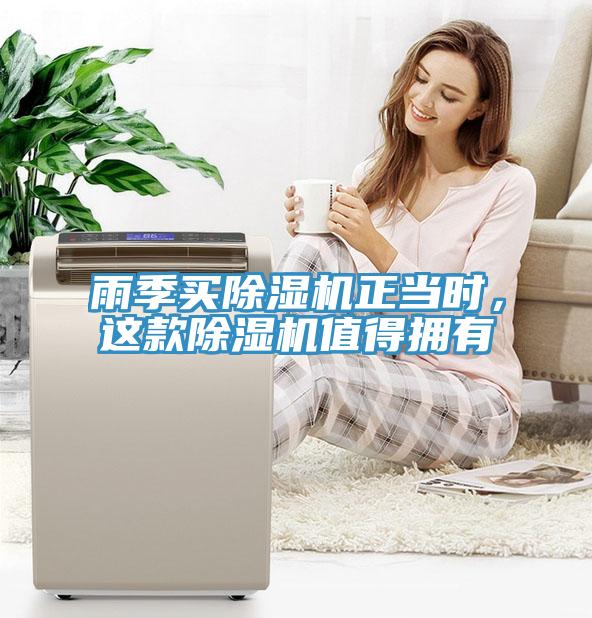 雨季買除濕機正當時，這款除濕機值得擁有