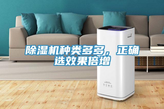 除濕機(jī)種類多多，正確選效果倍增