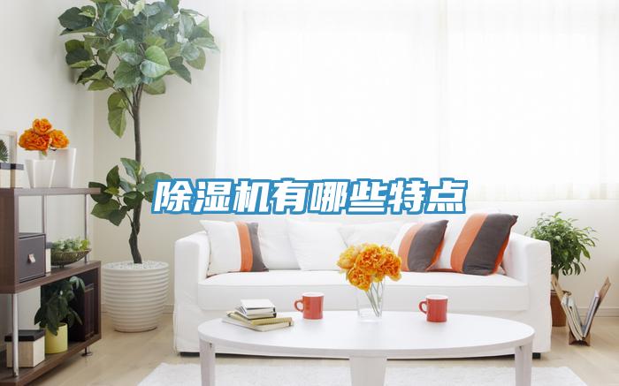 除濕機有哪些特點