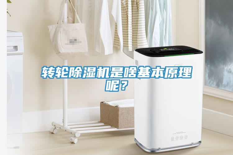轉輪除濕機是啥基本原理呢？