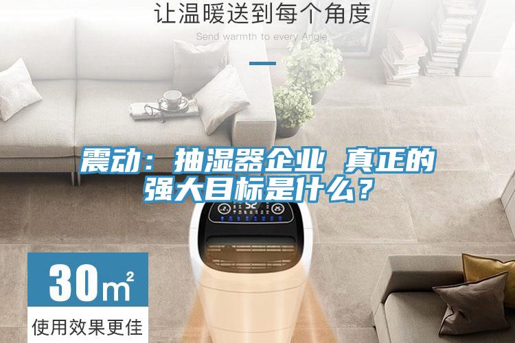 震動：抽濕器企業 真正的強大目標是什么？